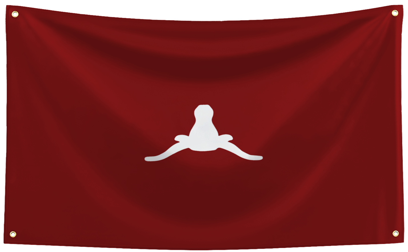 Texas Horns Down Flag